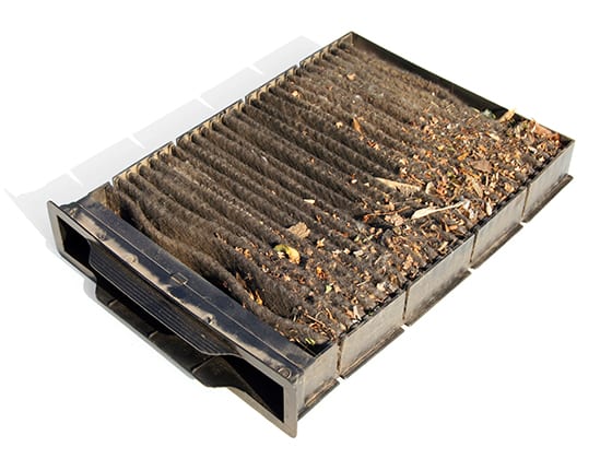 Reno drivers should change their cabin air filter at least once a year.