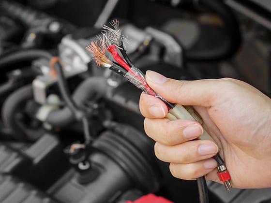 How To Prevent Rodents From Eating Your Vehicle’s Wires