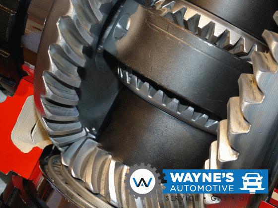 cutaway of transmission gears