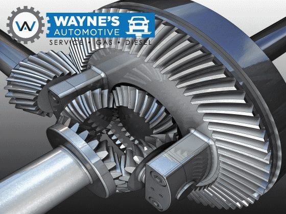 differential cutaway